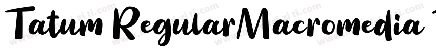 Tatum RegularMacromedia Fontographe字体转换